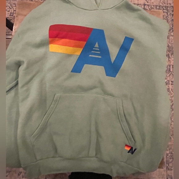 COPY - Aviator Nation relaxed logo pullover in sage - Picture 4 of 5